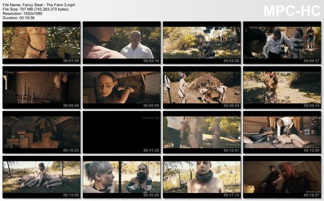 [708.2 MB]The Farm 3 (Audrey Fox, Celestial Fae, Kitten, Bunny) / The Farm 3 (James Gray, Fancysteel.com)