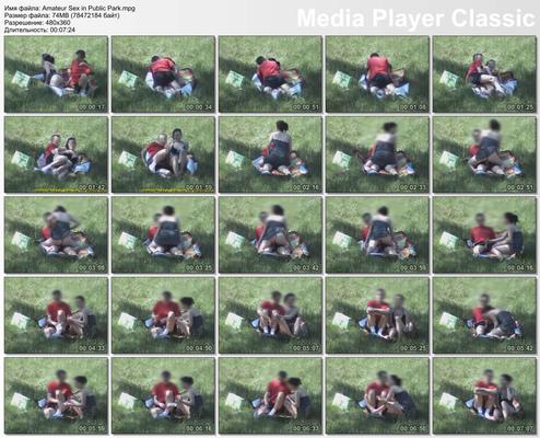 [75 MB] Amateur Sex in Public Park / Amateur sex in a public park [2010, Voyeur, Spycam, Amateur, Straight, CamRip]