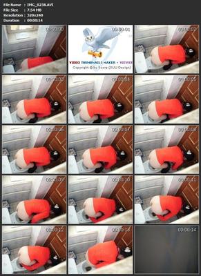 [325 MB] [Peeing, Spycam] (33rolika) / Hidden camera in the women's restroom (Amateur) [2011, Peeing, CamRip]