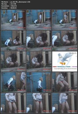 [918 MB] [Alexvoyeur.com] WC / Maiden pisse (rouleaux 30) (Alexvoyeur.com) [pipi, voyeur, SiteRip]