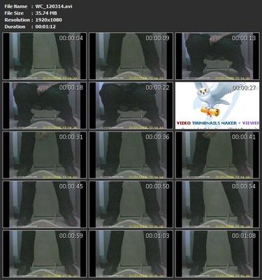 [654 MB] [Voyeur-russian.com] WC (15 clips №311-325, set 1203) / Cámara oculta en el baño de mujeres [2012, Orinar, SiteRip]