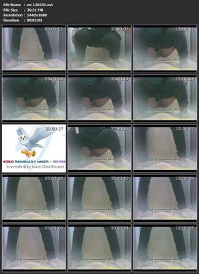 [3,56 Go] [Voyeur-russian.com] WC (63 clips, set 1204-1205) / Caméra cachée dans les toilettes des dames [2012, Pipi, Voyeur, Toilettes, 1080p, HDRip]