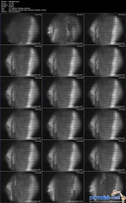 [5,68 GB] [theycaughtonvideo.com] Fueron captados en la cámara oculta (40 rodillos) [2007, Cámara oculta, Voyeur, Todo sexo]