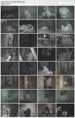 [1.08 GB] [urerootic.com] FU10 Night Crawling # 75 [2015, Voyeur, Spycam, SiteRip]