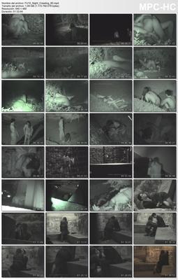 [1.09 GB] [UREROTIC.COM] FU10 Night Crawling 85 [2015, Voyeur]