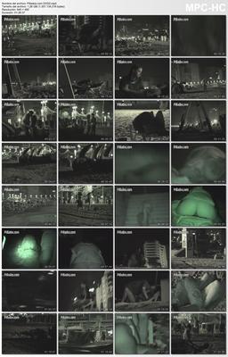 [2.59 GB] Pillados.com DVD.1 - DVD.2 (Pillados, VoyeurismopublicSex.com) [2015, Voyeur, Beach, SiteRip]