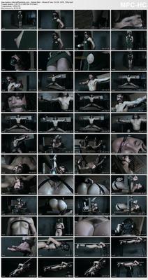 [2.85 GB] [InfernalRestraints.com] Dakota Marr - Stress & Fear (25.10.2019 g) [2019 g, BDSM, Bondage, Vibrator, Toys, Caning, Stockings, Clothespins, Suspension, Electrical Play, SiteRip, 720p]