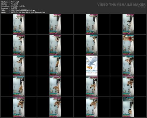 [99,94 GB] Asiatische Escort-Paare mit versteckter Kamera, Paket 446 (150 Clips)