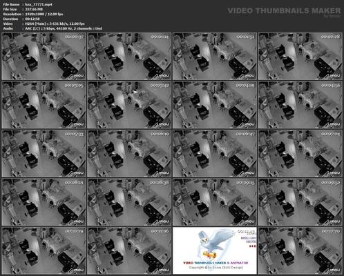 [80,98 GB] Paquete de edición asiática Hidden-Zone 414 09 de agosto de 2024 (100 clips)