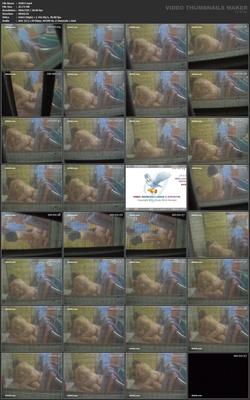 [86,22 GB]Asiatische Escort-Paare mit versteckter Kamera, Paket 299 (150 Clips)